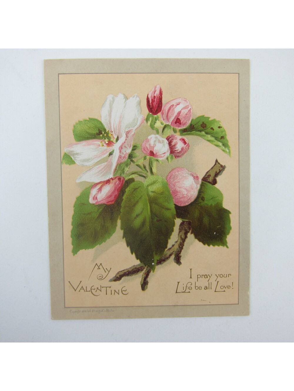 Victorian Greeting Card Valentine Pink White Apple Blossom Flowers Antique 1884